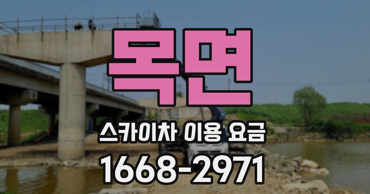목면 스카이차 이용 요금