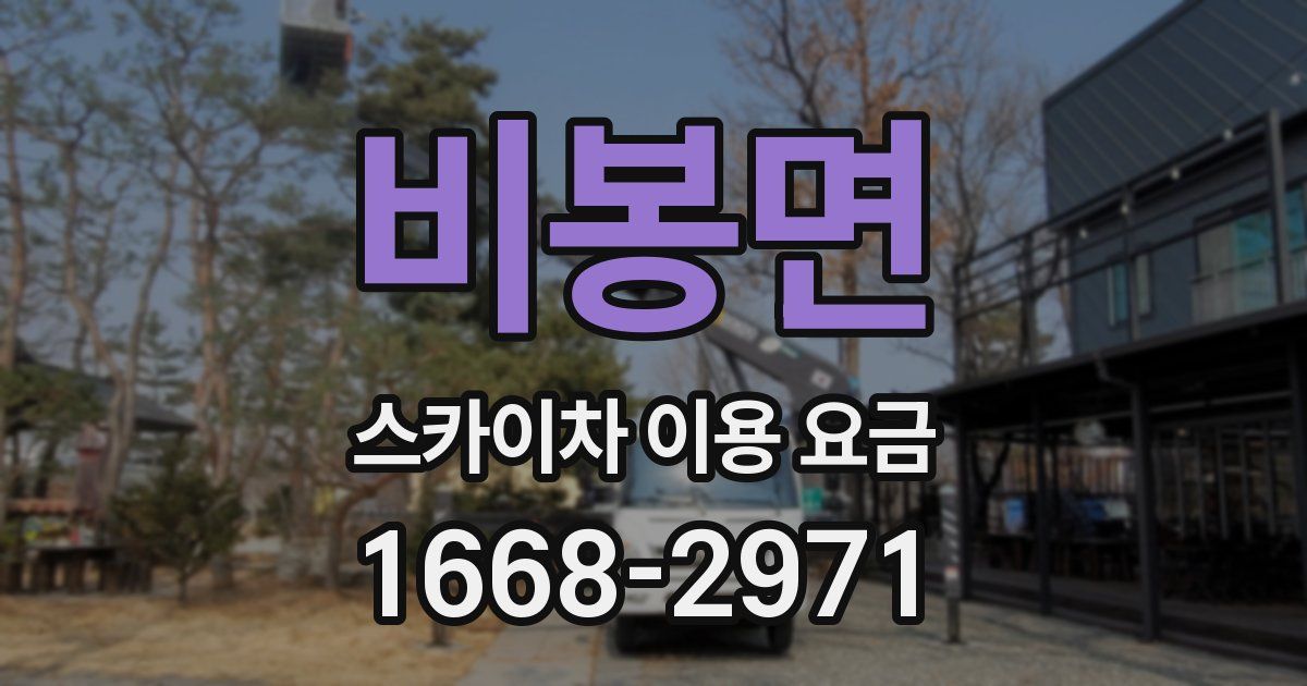 비봉면 스카이차 이용 요금