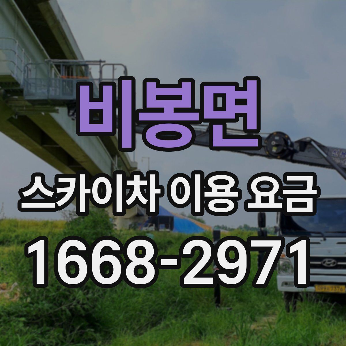 비봉면 스카이차 이용 요금
