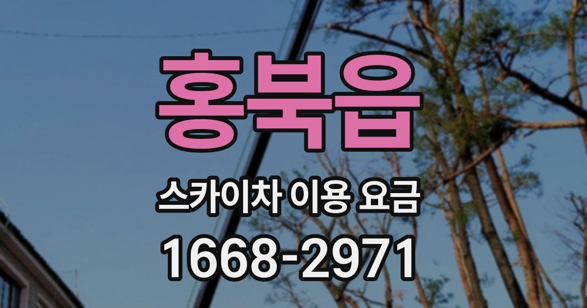 홍북읍 스카이차 이용 요금