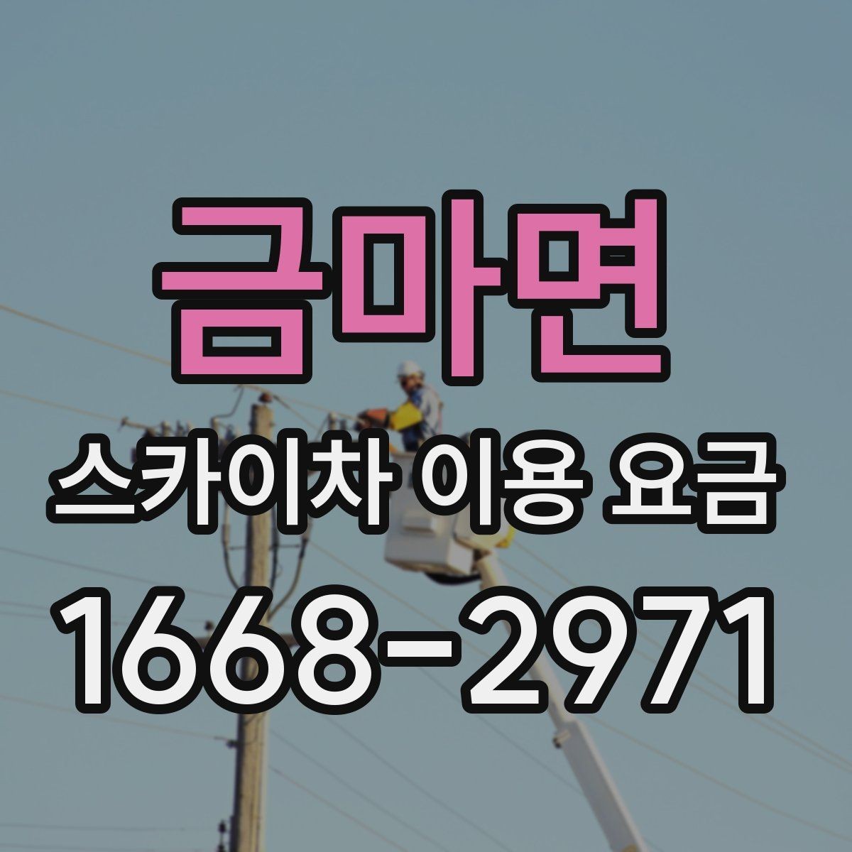 금마면 스카이차 이용 요금 상담이 필요한 경우