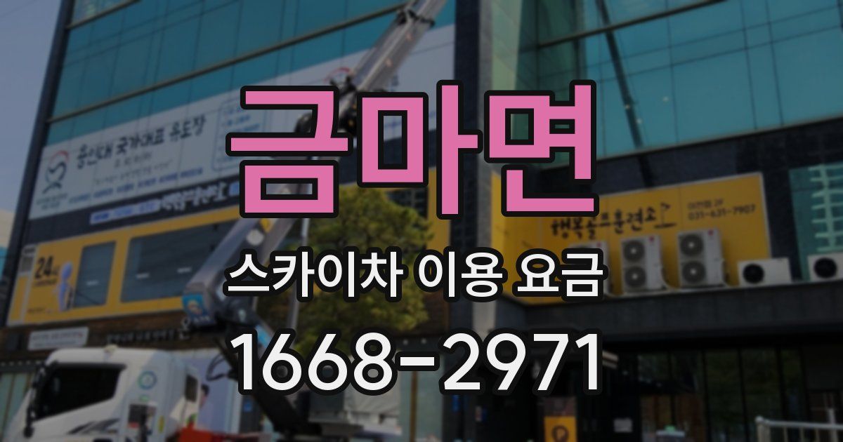 금마면 스카이차 이용 요금