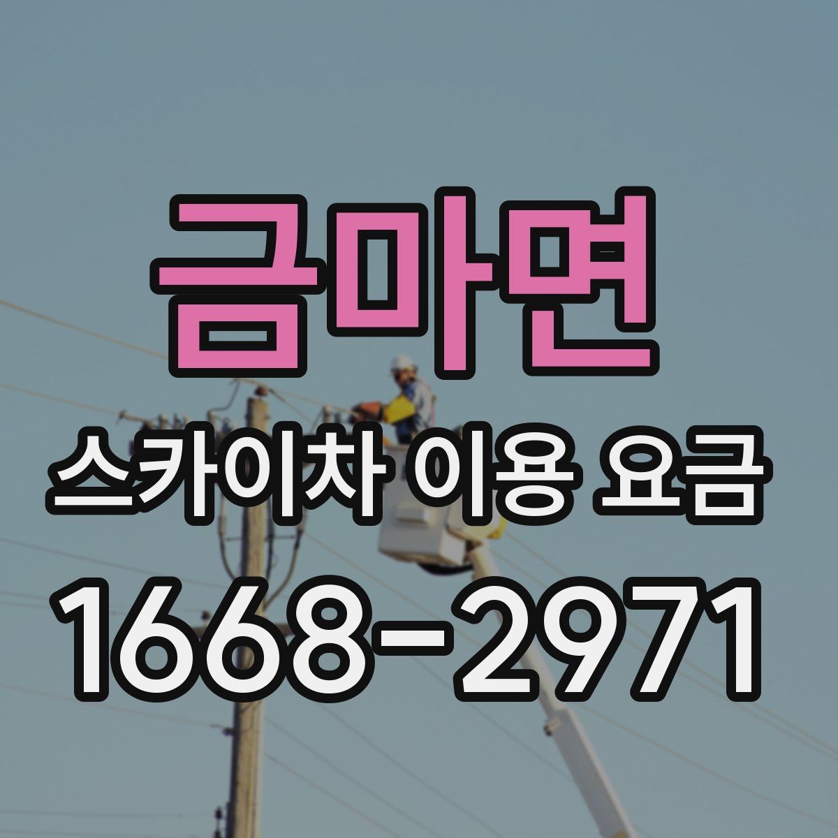 금마면 스카이차 이용 요금