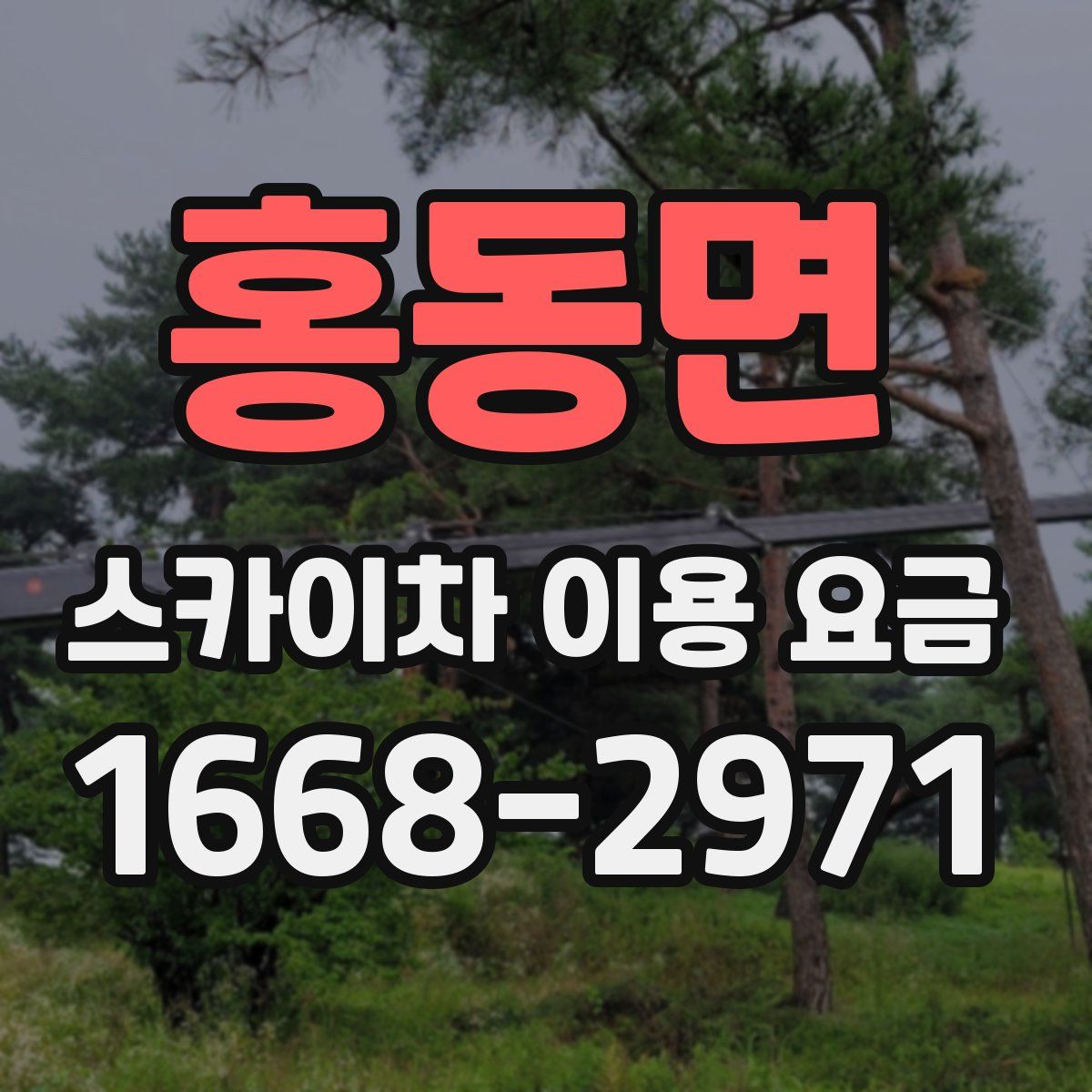 홍동면 스카이차 이용 요금