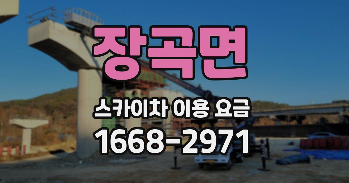 장곡면 스카이차 이용 요금