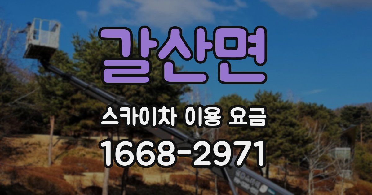 갈산면 스카이차 이용 요금