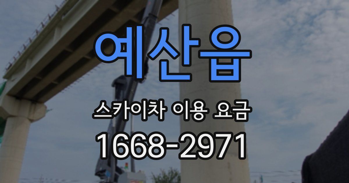 예산읍 스카이차 이용 요금