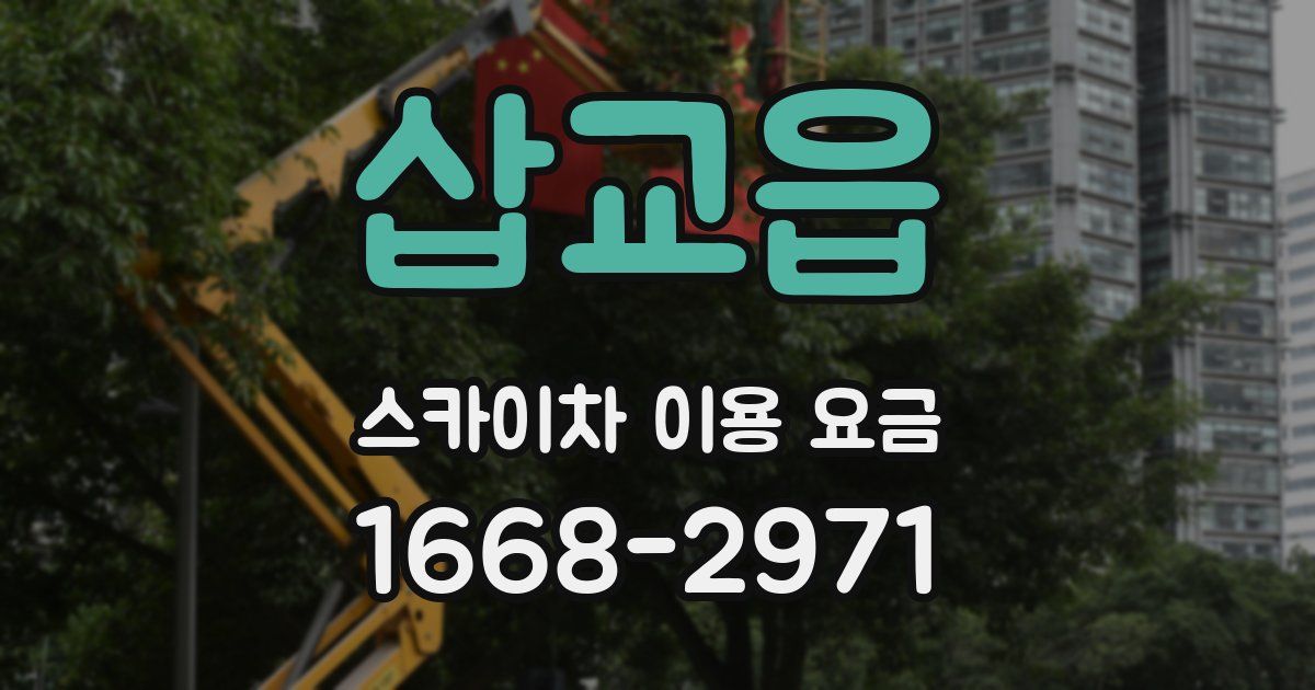 삽교읍 스카이차 이용 요금