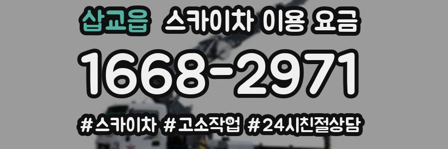 삽교읍 스카이차 이용 요금