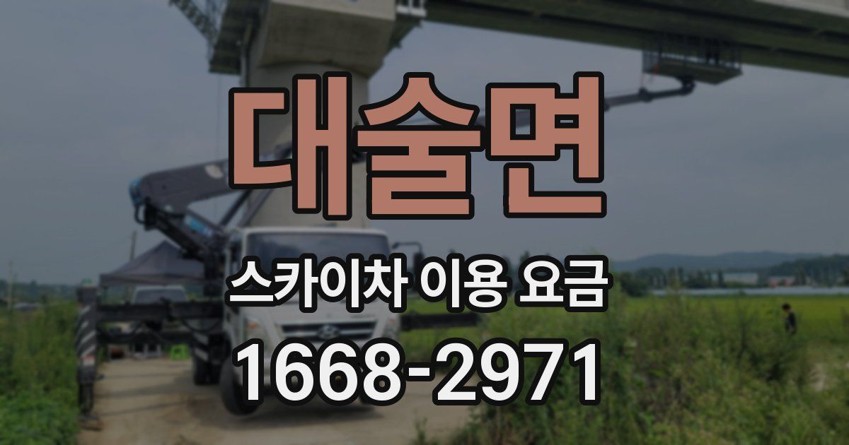 대술면 스카이차 이용 요금