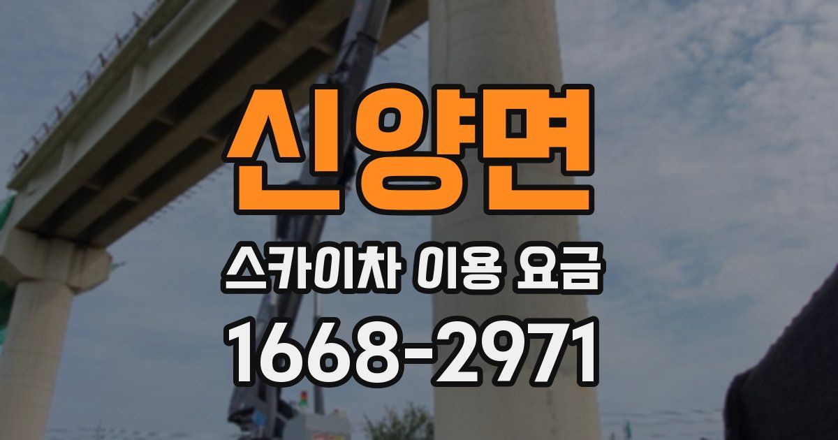 신양면 스카이차 이용 요금
