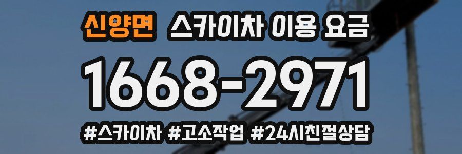 신양면 스카이차 이용 요금