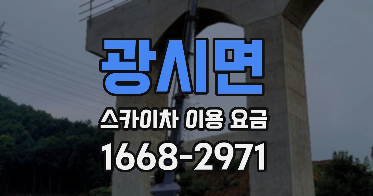 광시면 스카이차 이용 요금