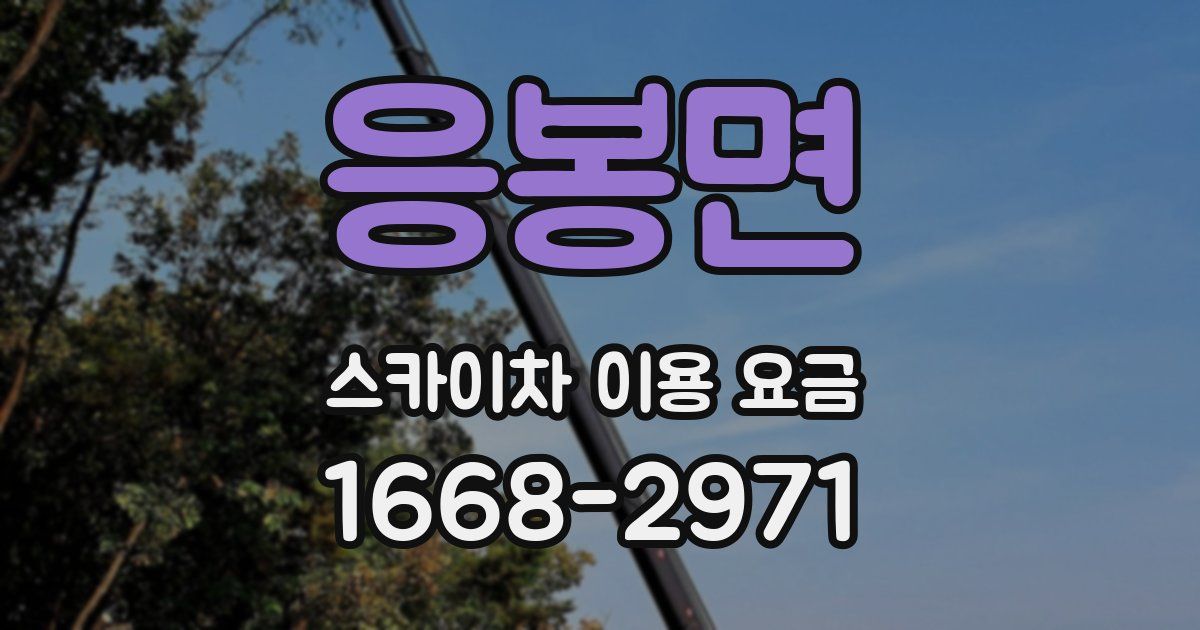 응봉면 스카이차 이용 요금