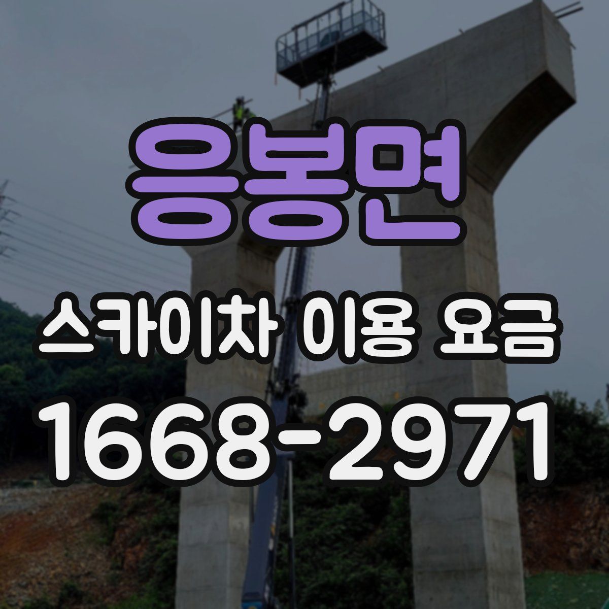 응봉면 스카이차 이용 요금