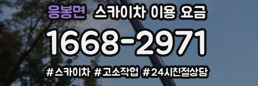 응봉면 스카이차 이용 요금