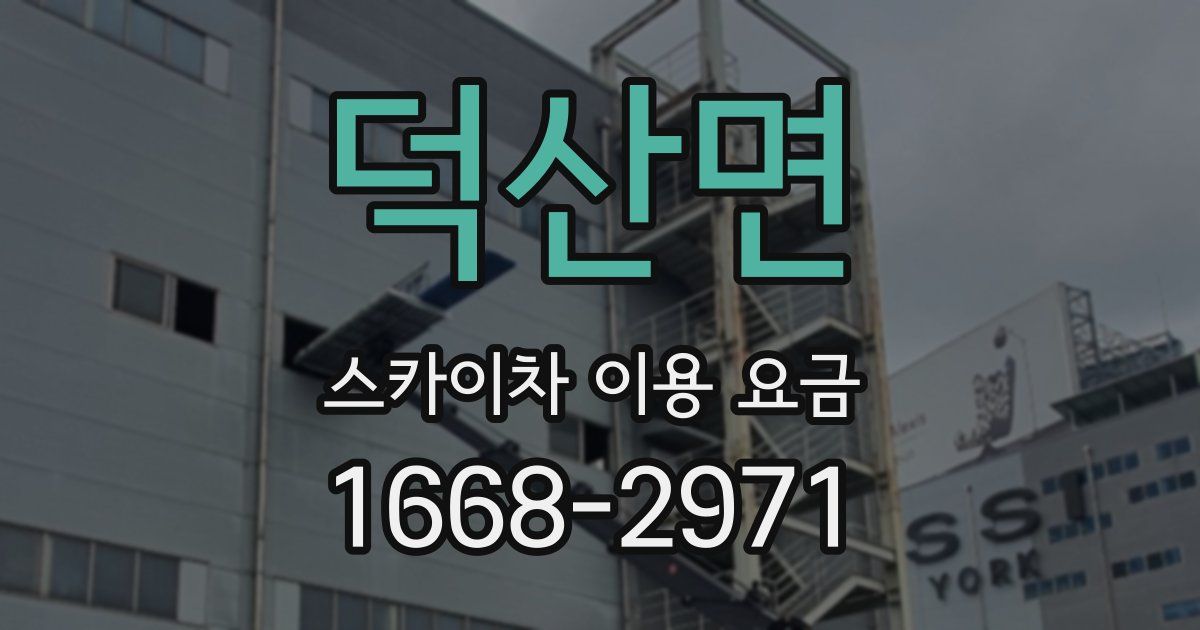 덕산면 스카이차 이용 요금