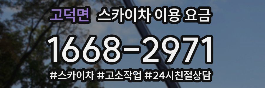 고덕면 스카이차 이용 요금