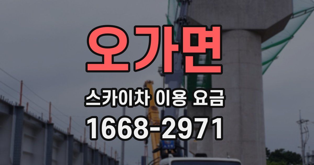 오가면 스카이차 이용 요금