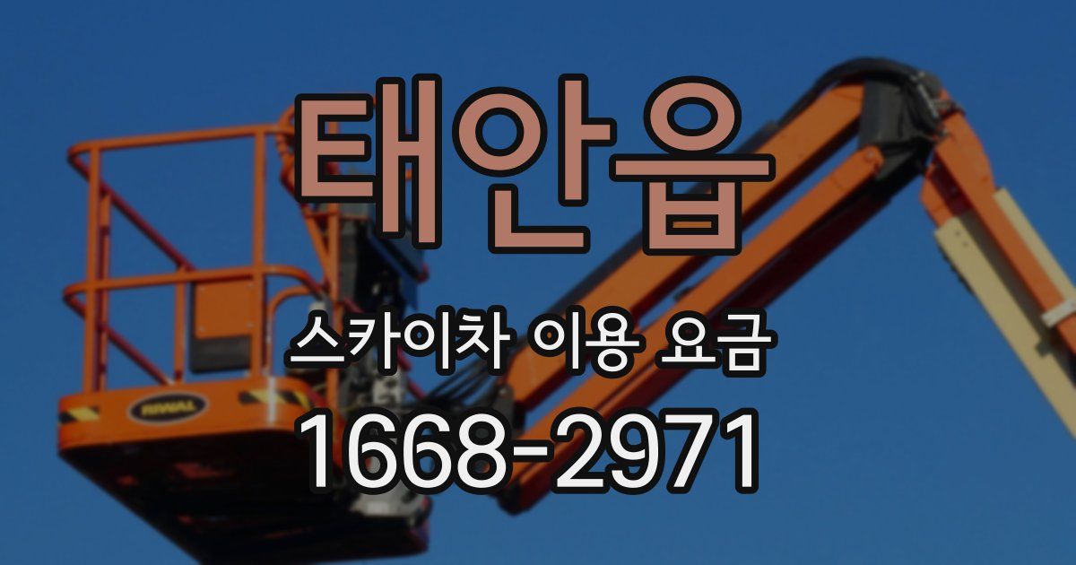 태안읍 스카이차 이용 요금