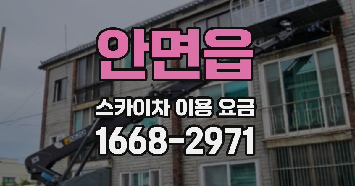 안면읍 스카이차 이용 요금