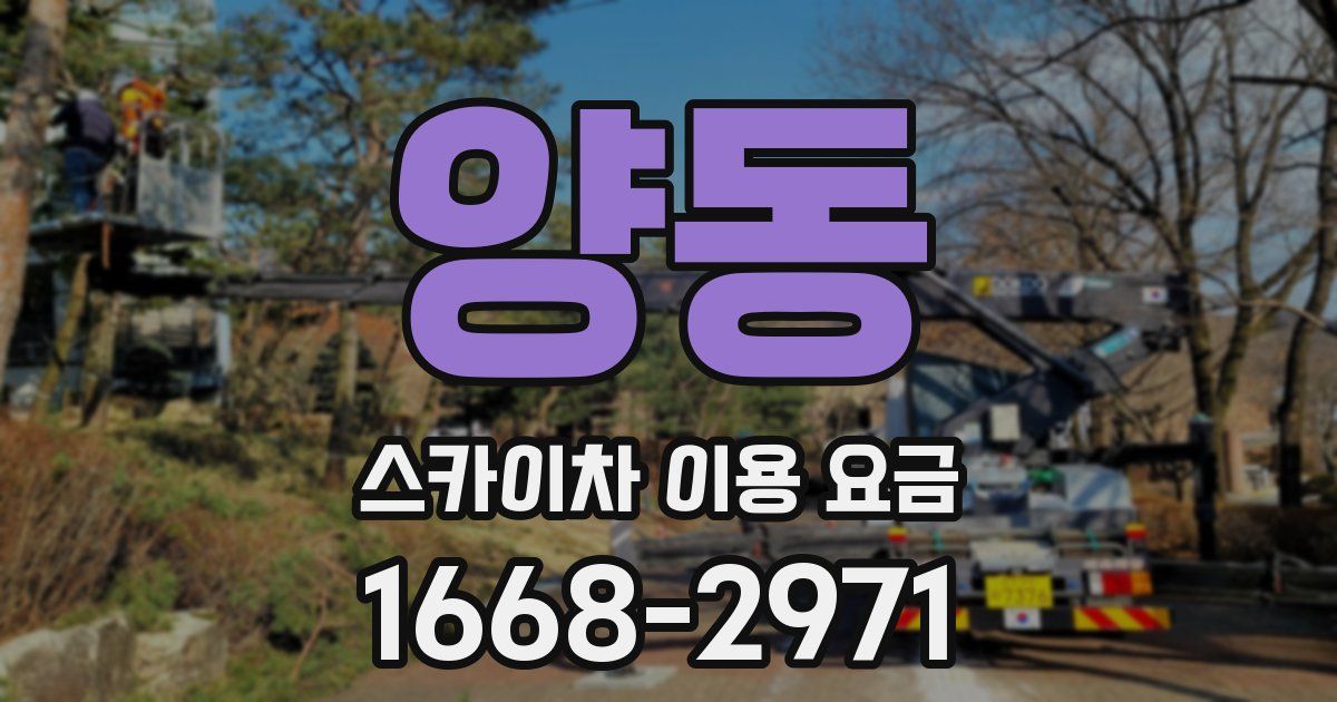 양동 스카이차 이용 요금