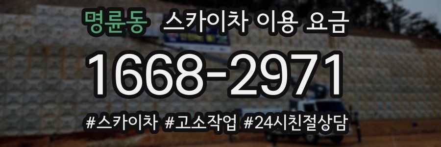 명륜동 스카이차 이용 요금