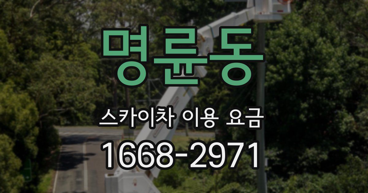 명륜동 스카이차 이용 요금