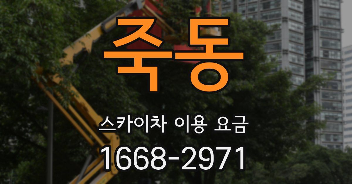 죽동 스카이차 이용 요금