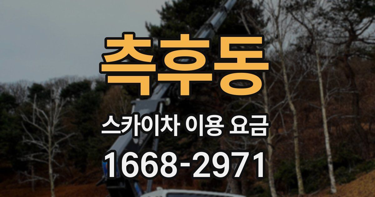 측후동 스카이차 이용 요금