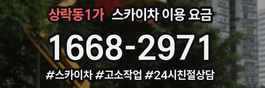 상락동1가 스카이차 이용 요금