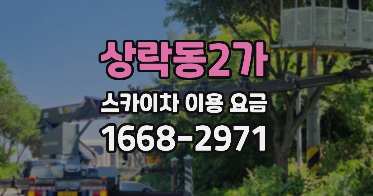 상락동2가 스카이차 이용 요금