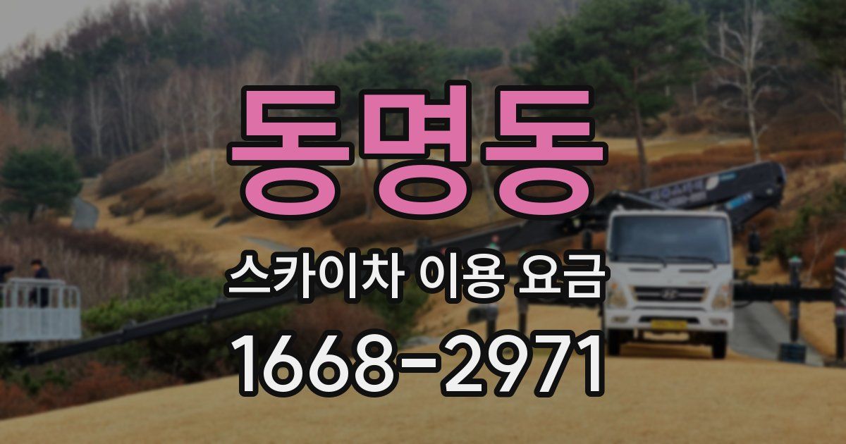 동명동 스카이차 이용 요금