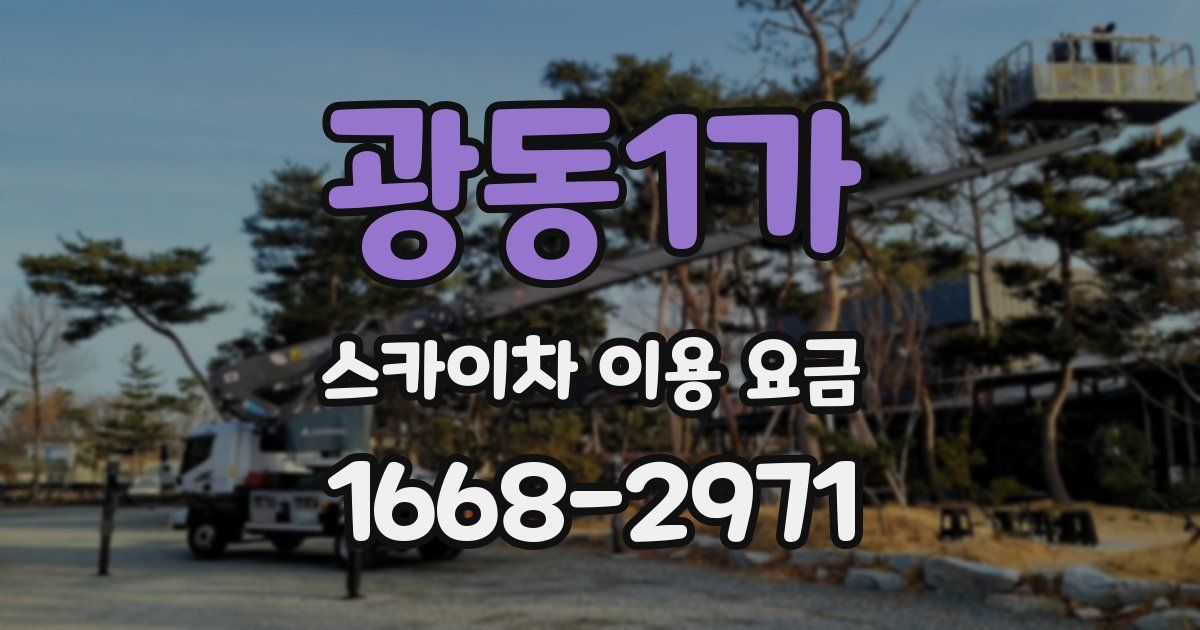 광동1가 스카이차 이용 요금