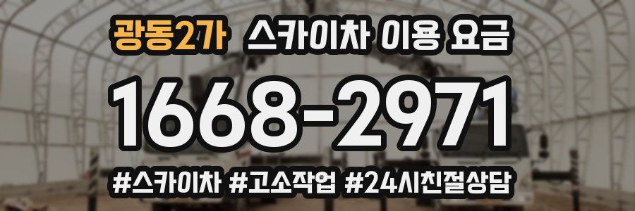 광동2가 스카이차 이용 요금