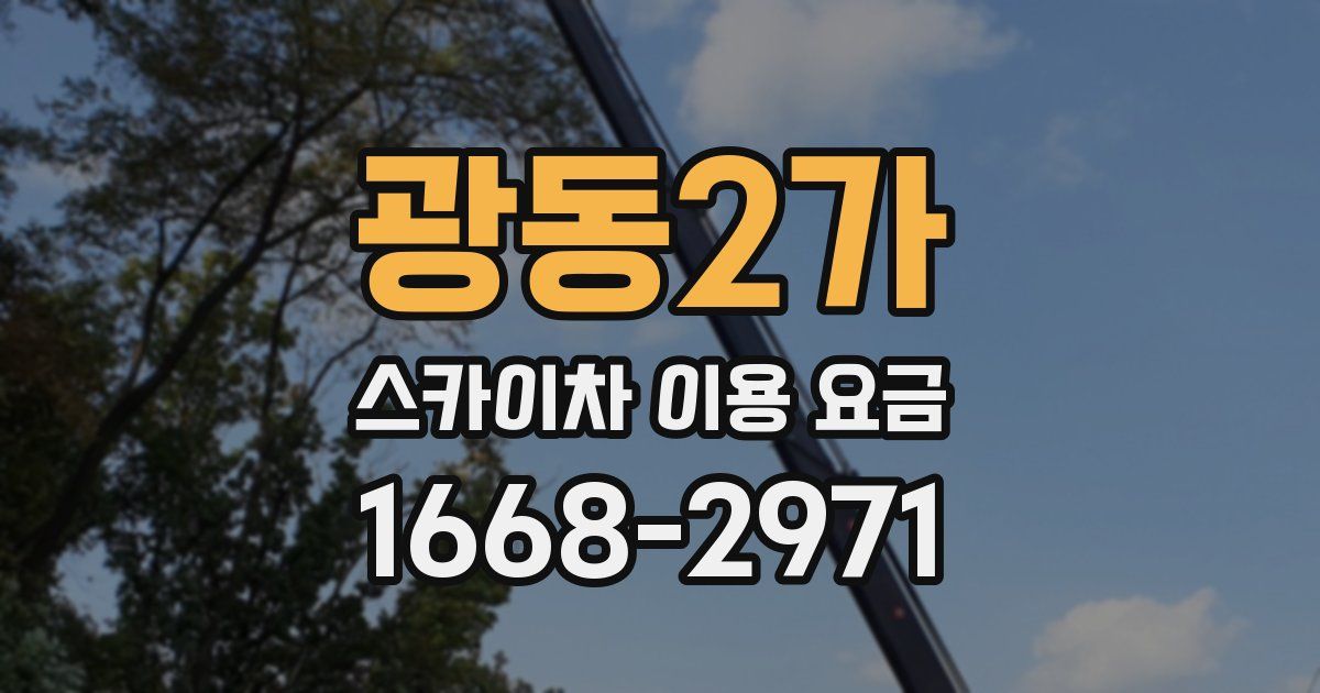 광동2가 스카이차 이용 요금