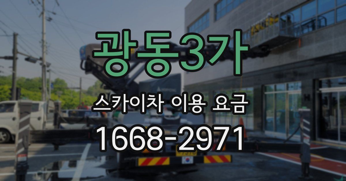 광동3가 스카이차 이용 요금