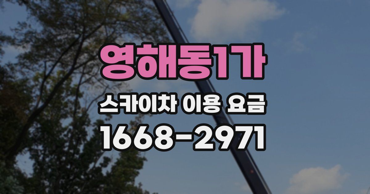 영해동1가 스카이차 이용 요금