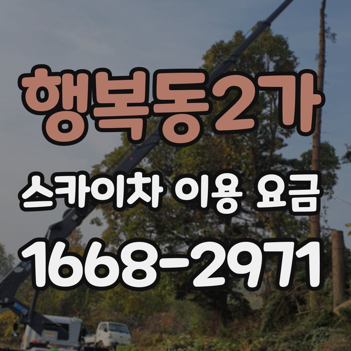 행복동2가 스카이차 이용 요금 상담에서 빠지기 쉬운 항목