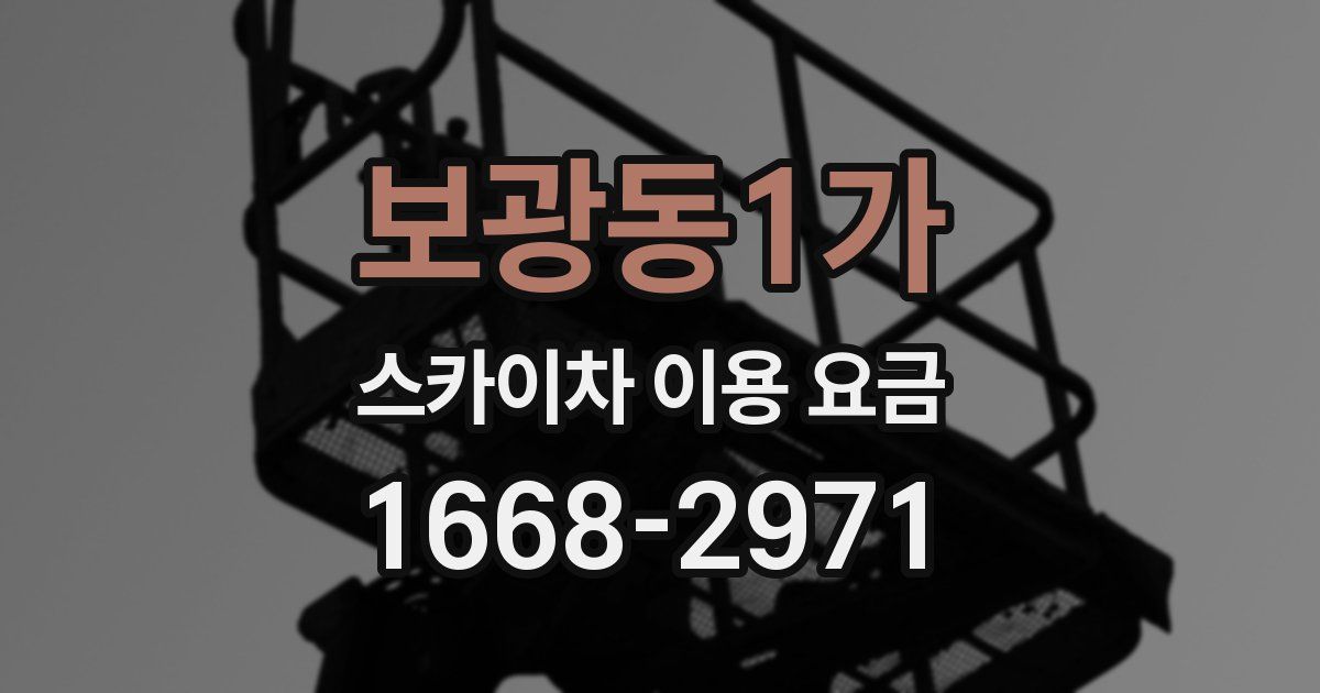 보광동1가 스카이차 이용 요금