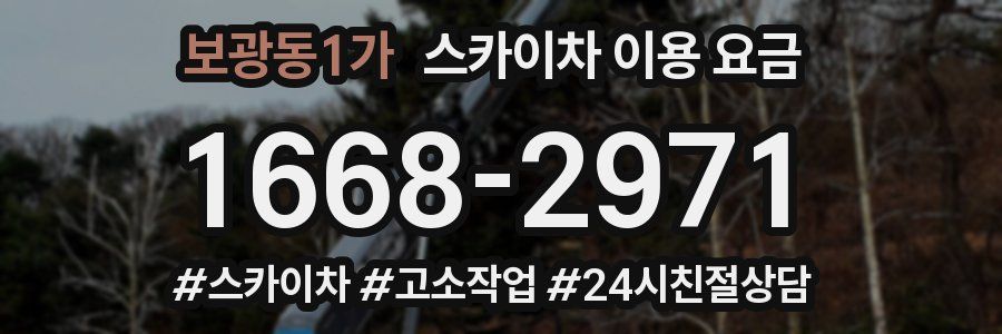 보광동1가 스카이차 이용 요금