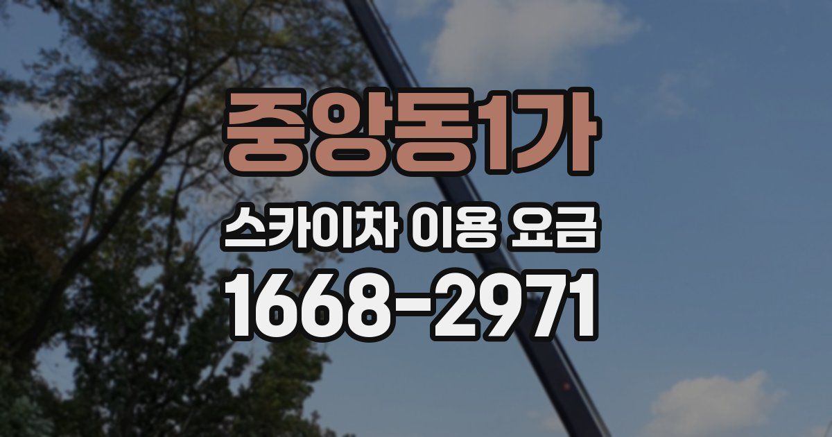 중앙동1가 스카이차 이용 요금