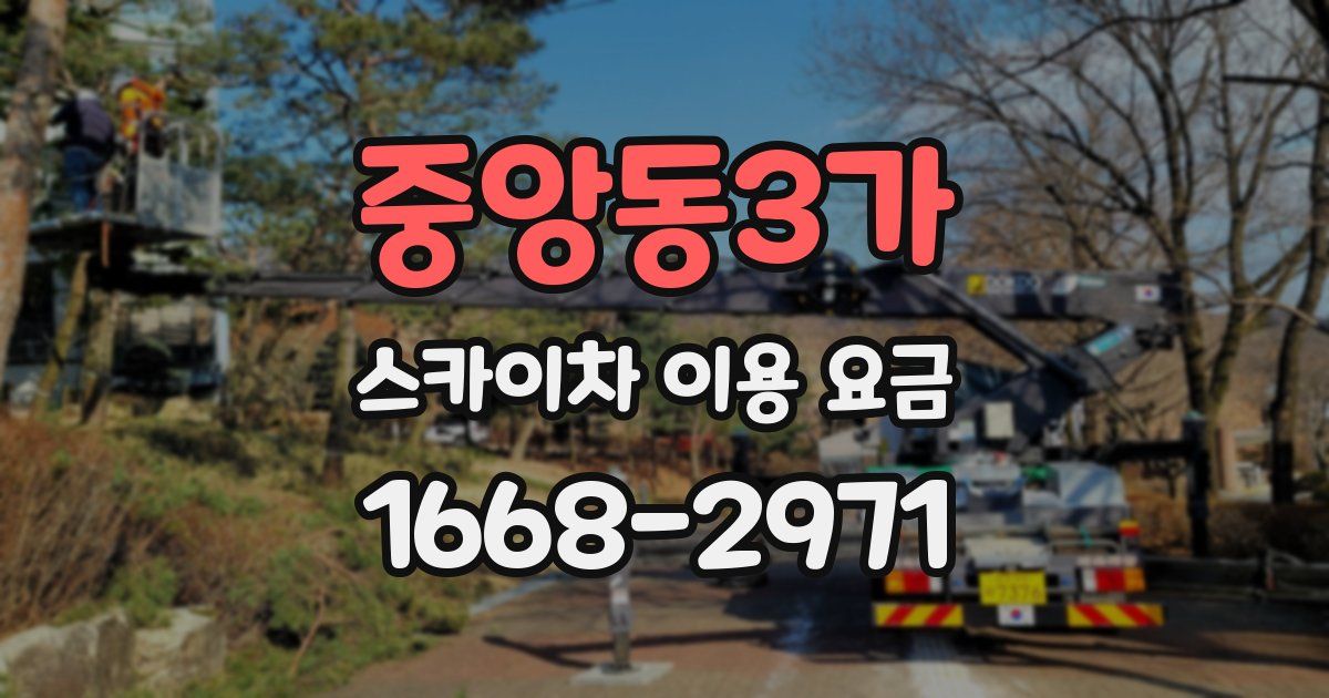 중앙동3가 스카이차 이용 요금