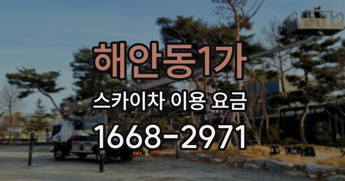 해안동1가 스카이차 이용 요금