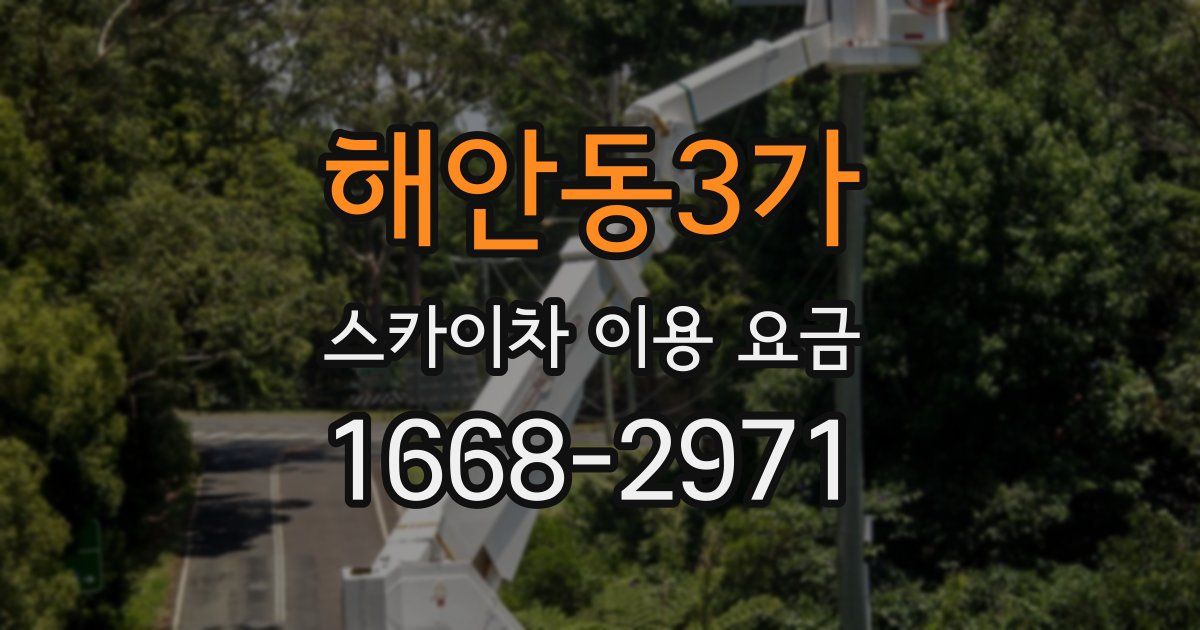 해안동3가 스카이차 이용 요금