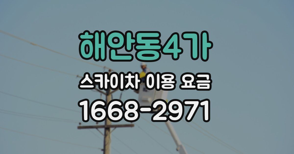 해안동4가 스카이차 이용 요금