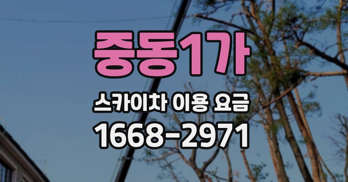 중동1가 스카이차 이용 요금