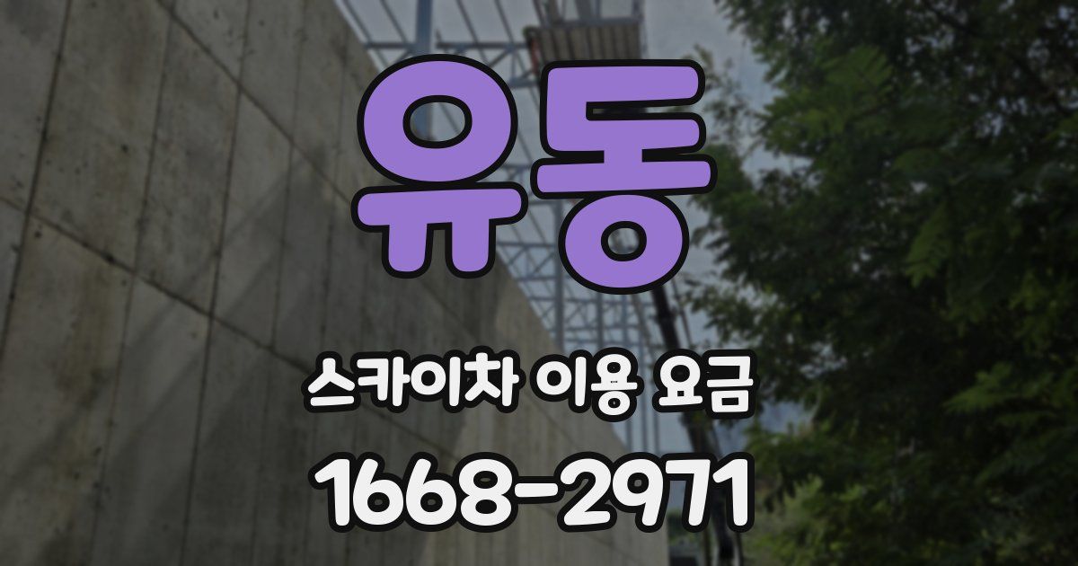 유동 스카이차 이용 요금