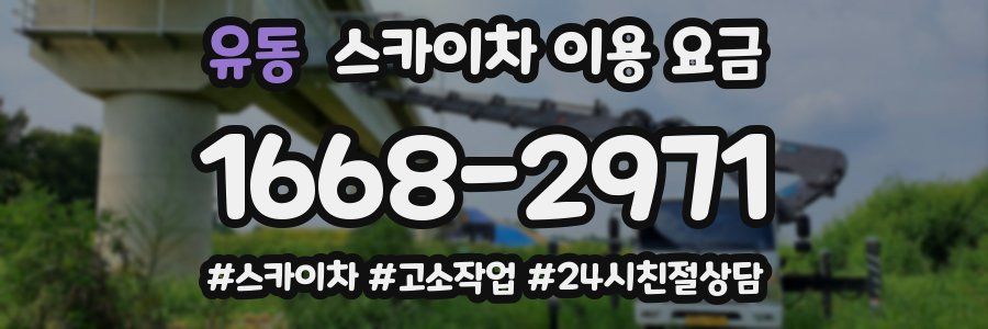 유동 스카이차 이용 요금