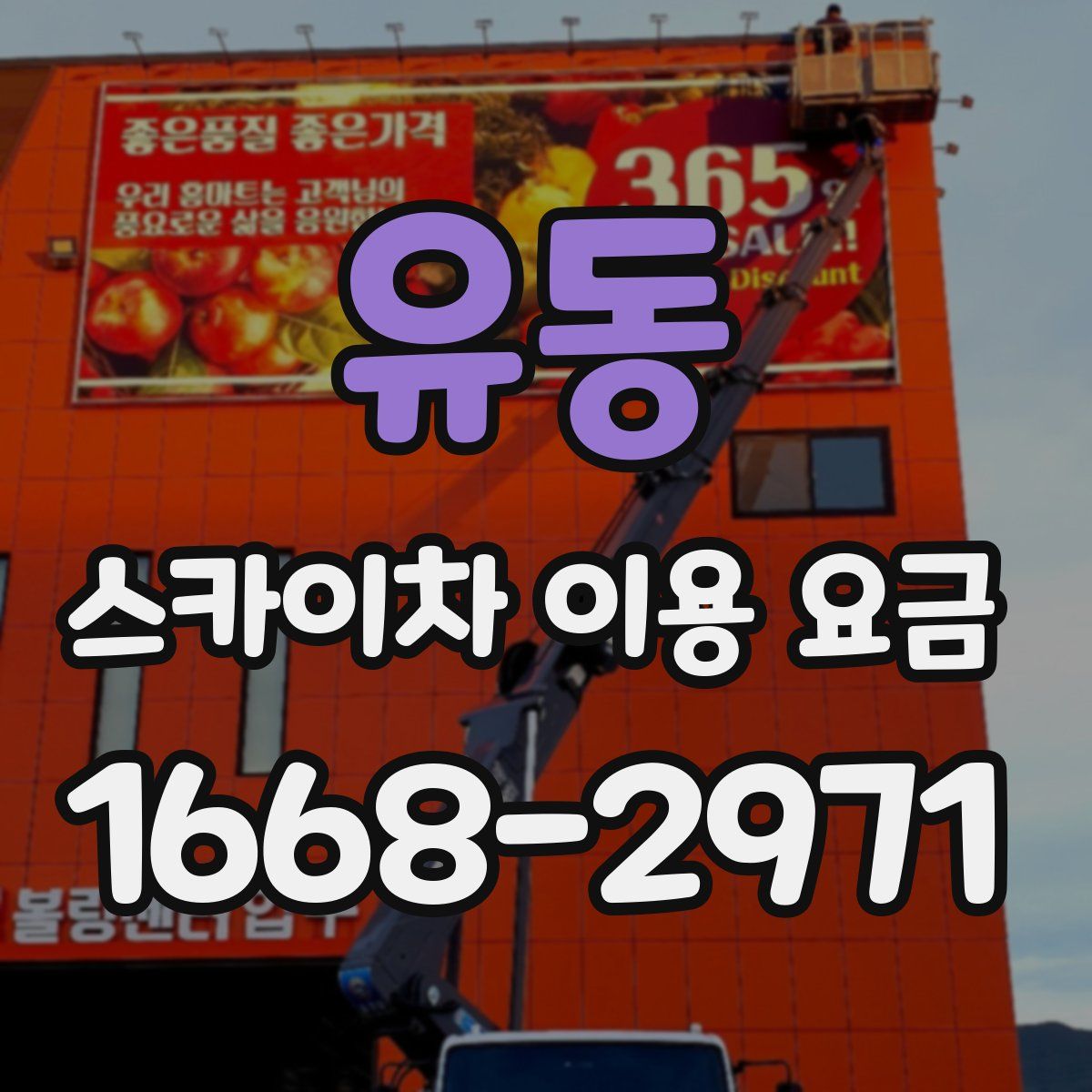 유동 스카이차 이용 요금